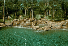 Natural Pond