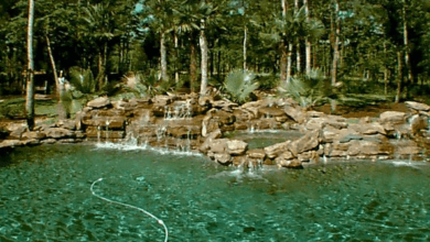 Natural Pond