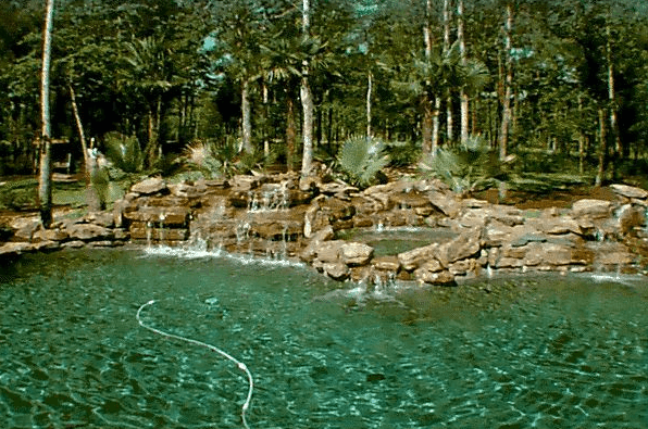 Natural Pond