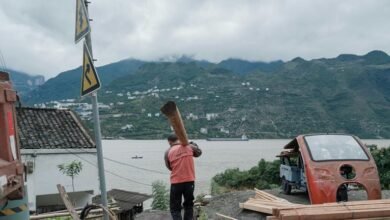 business growth and analysis