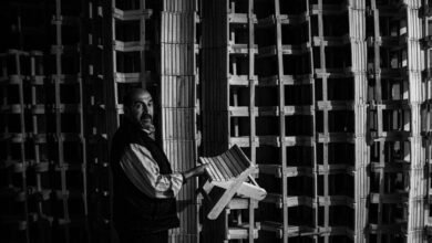 business patterns and insights