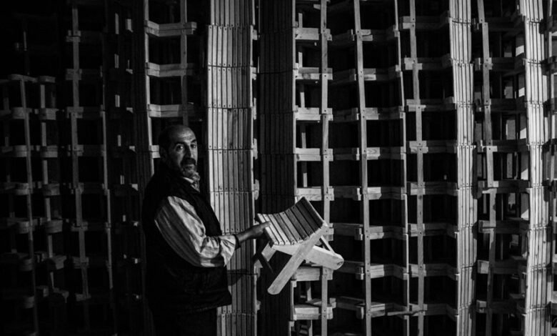 business patterns and insights