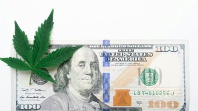 investment trends and signals