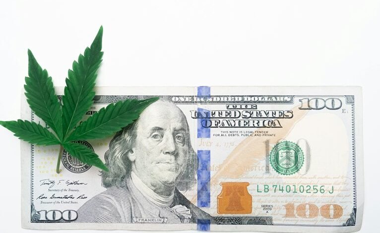 investment trends and signals