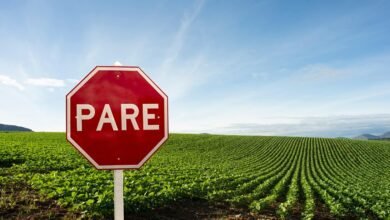 market competition and growth