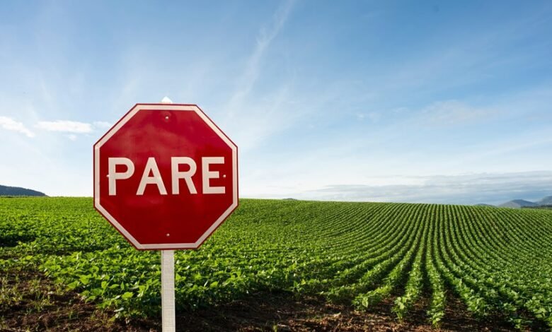 market competition and growth