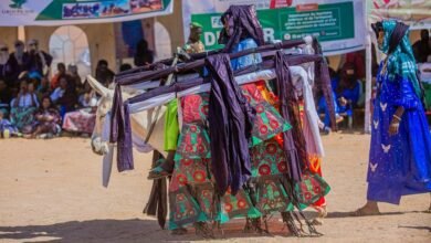 market trends and performance