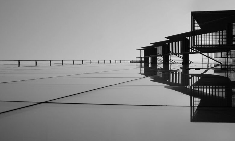 market trends and signals