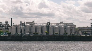 sector analysis and competition