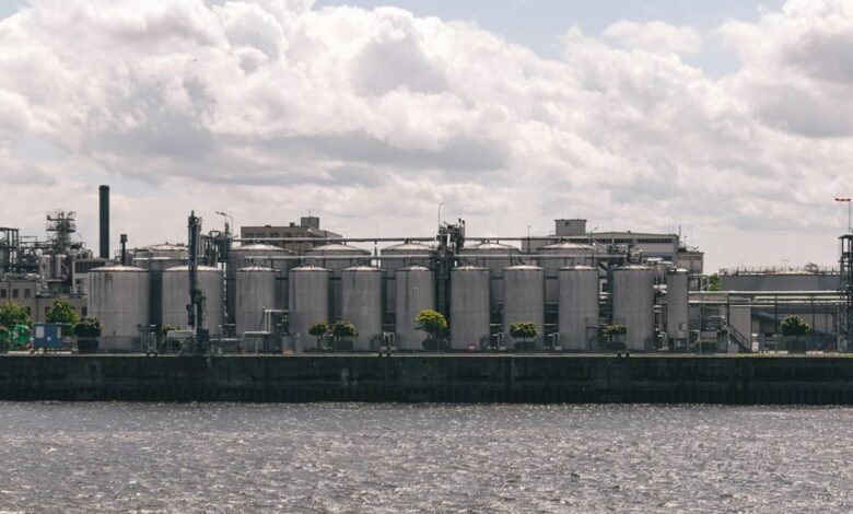 sector analysis and competition