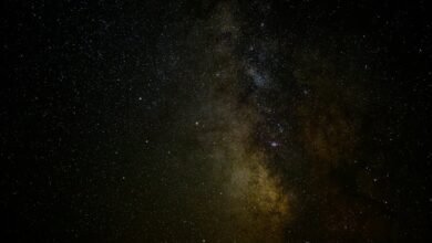 celestial domain identification number