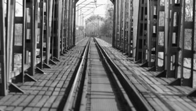 omega track market beam