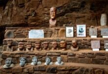 optimal growth evolution strategy