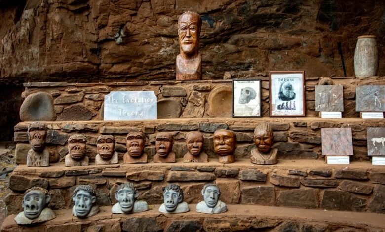 optimal growth evolution strategy