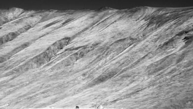 strategic growth in expansion